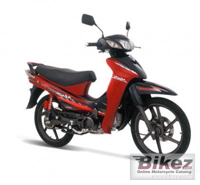 Sym motor online 110